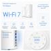 WiFi router TP-Link Deco BE85(1-pack) AXE19000, WiFi 7, 1x 10GLAN, 2x 2.5GLAN, 1x 10GLAN/SFP+, USB, 2,4/5/6GHz, poškoze